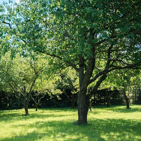 Bavi * Kotvrdovice